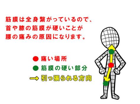 筋膜整体という聞きなれない言葉